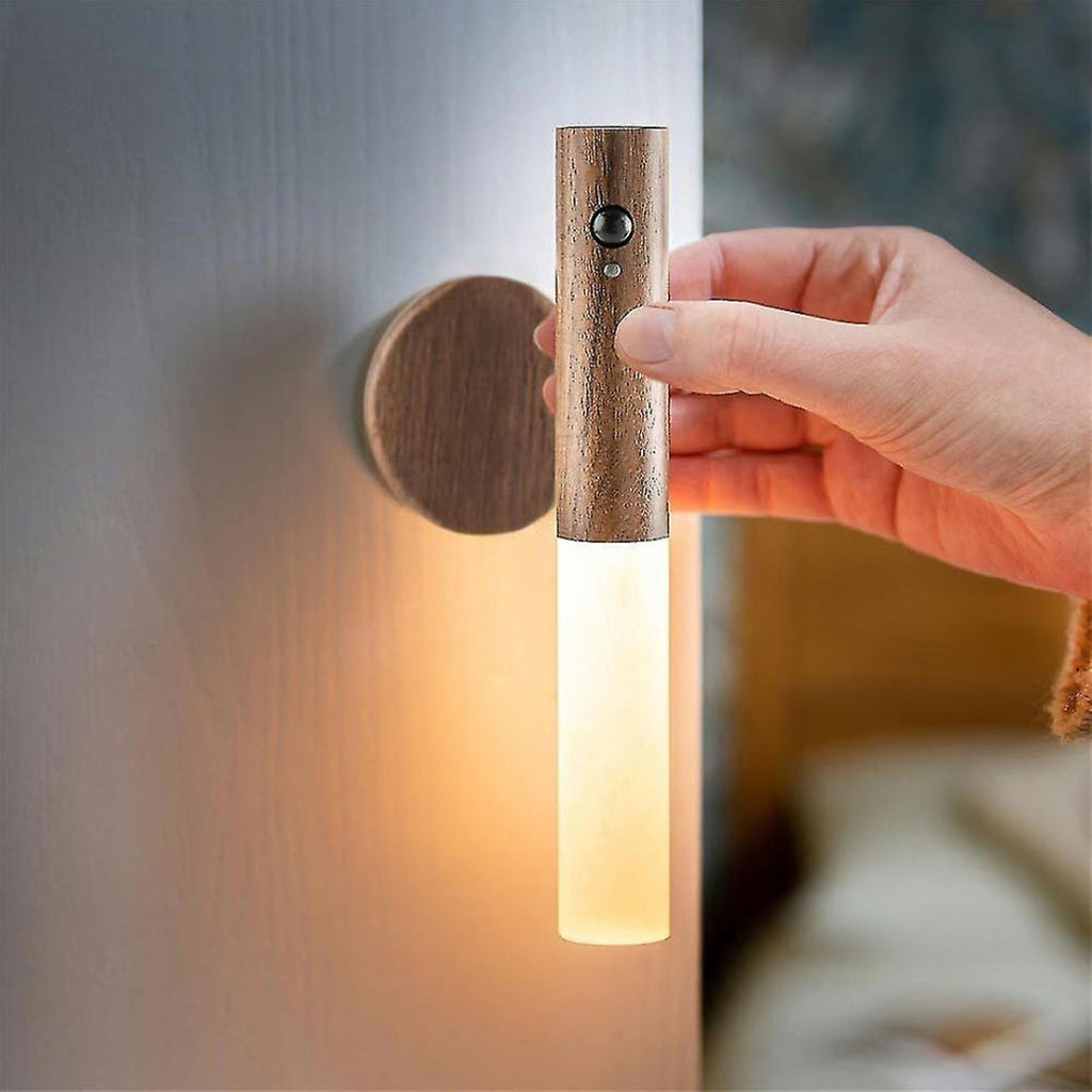 LED Torch Light