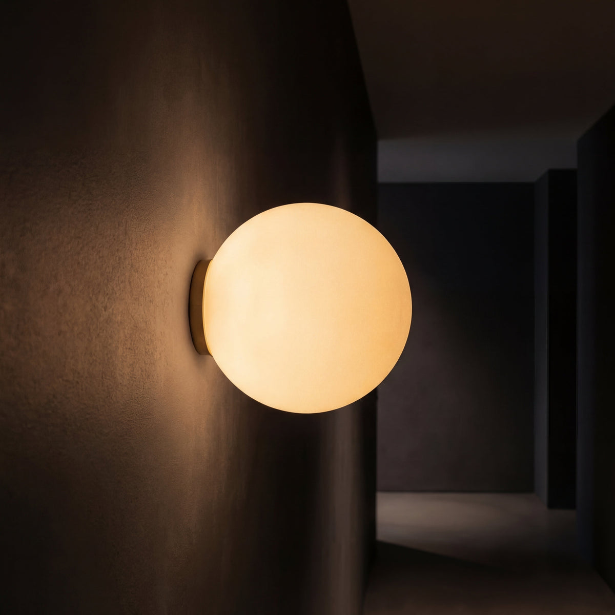 Globe wall light